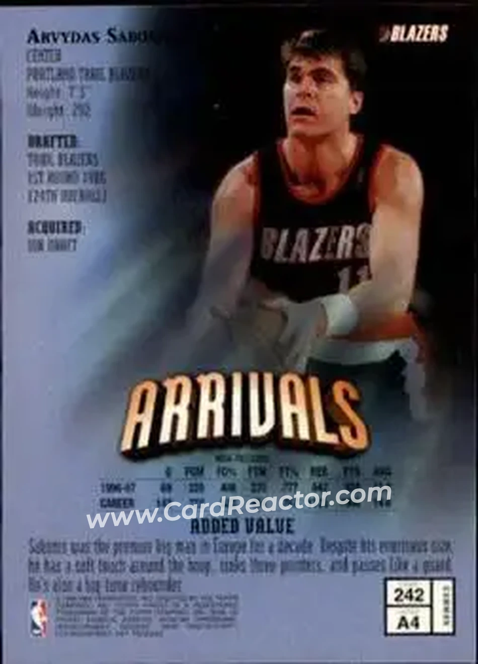 Back of Arvydas Sabonis