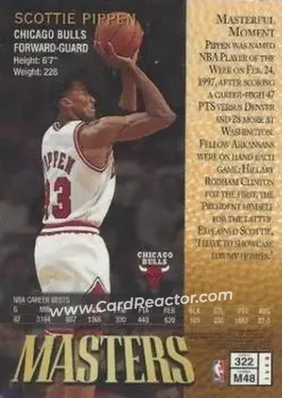Back of Scottie Pippen