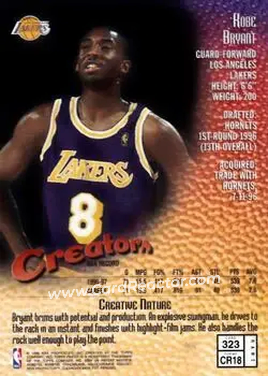 Back of Kobe Bryant