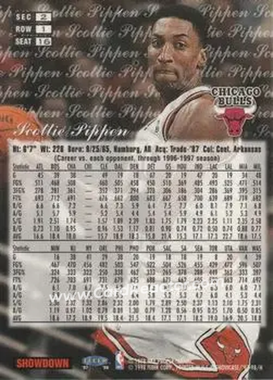 Back of Scottie Pippen