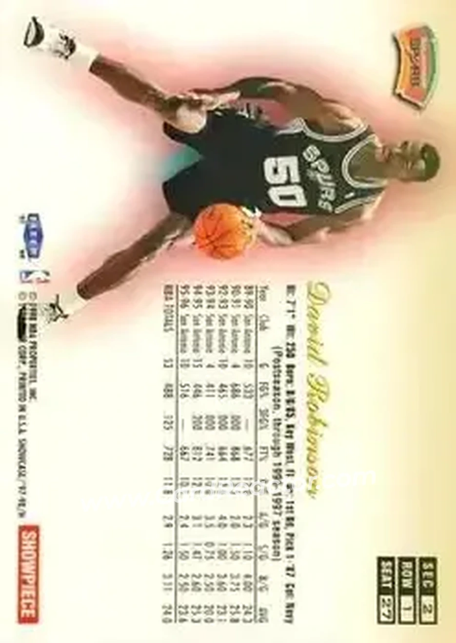 Back of David Robinson