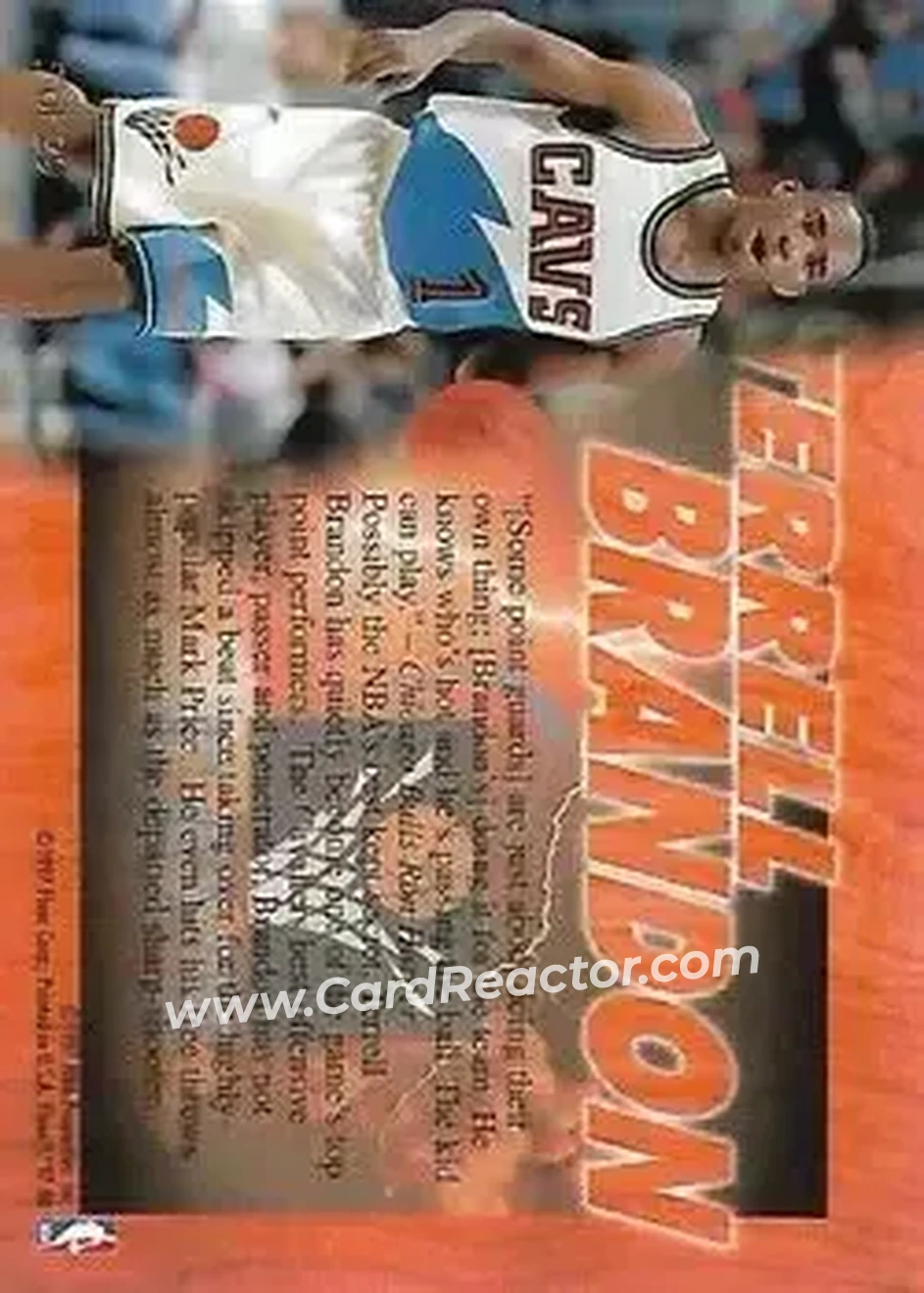 Back of Terrell Brandon