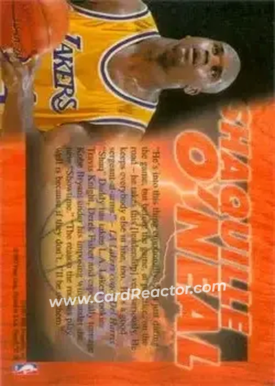 Back of Shaquille O'Neal
