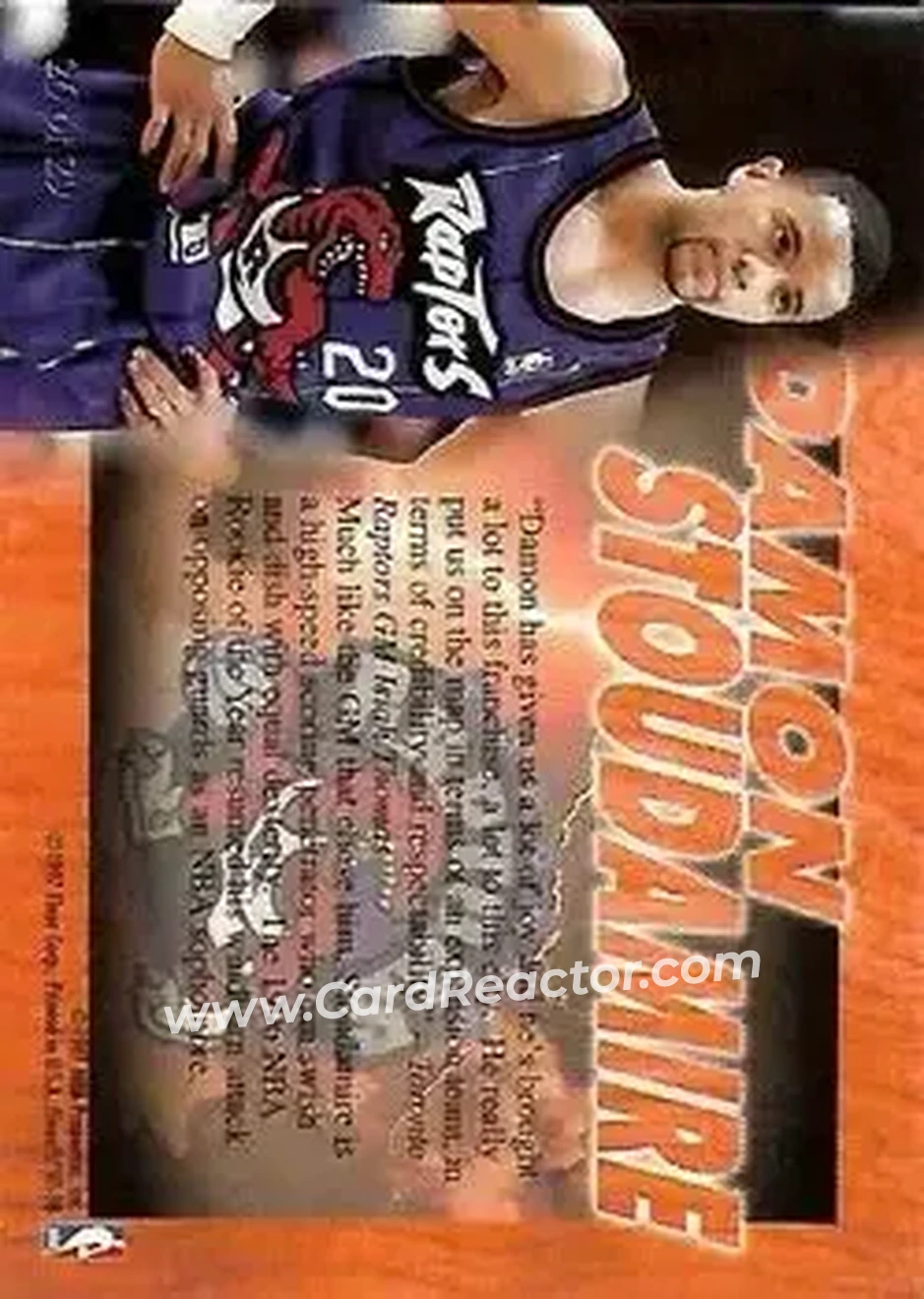Back of Damon Stoudamire