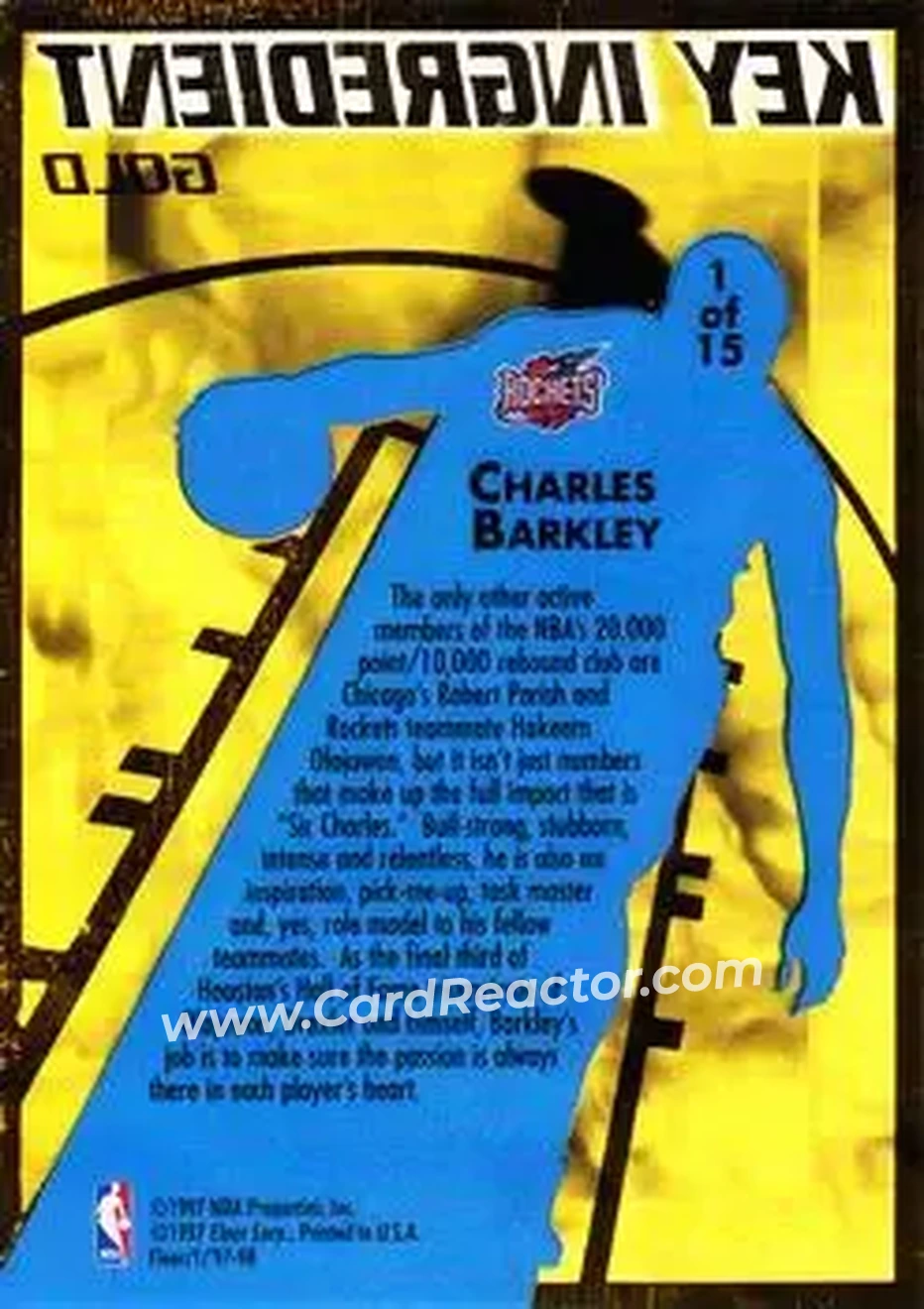 Back of Charles Barkley