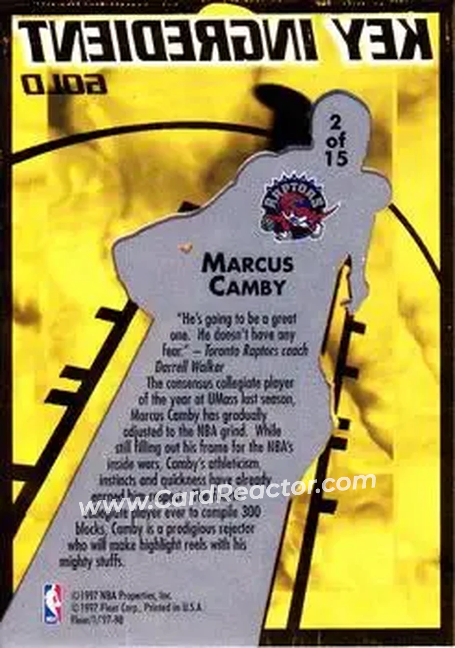 Back of Marcus Camby