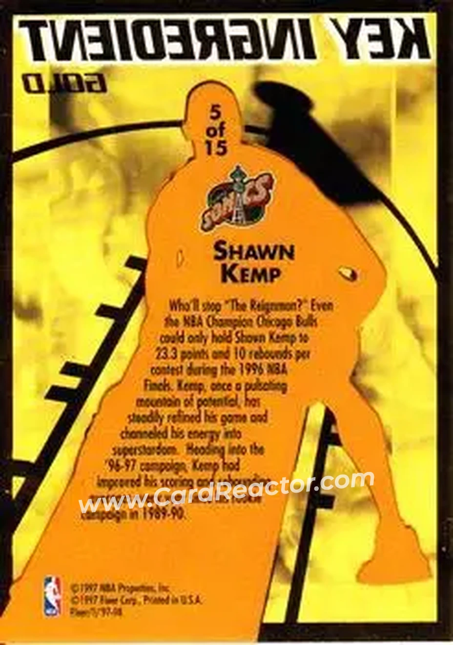 Back of Shawn Kemp