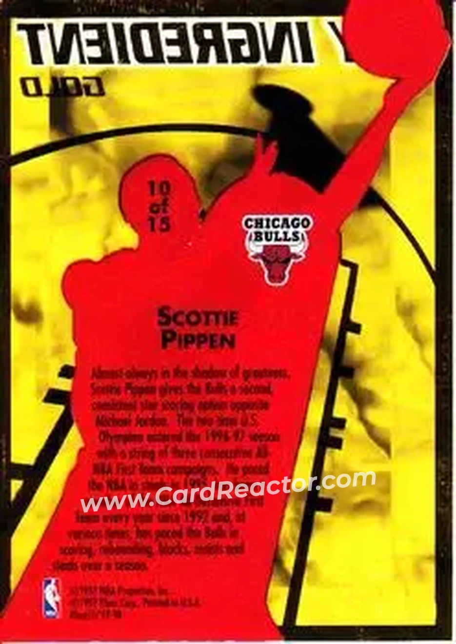 Back of Scottie Pippen