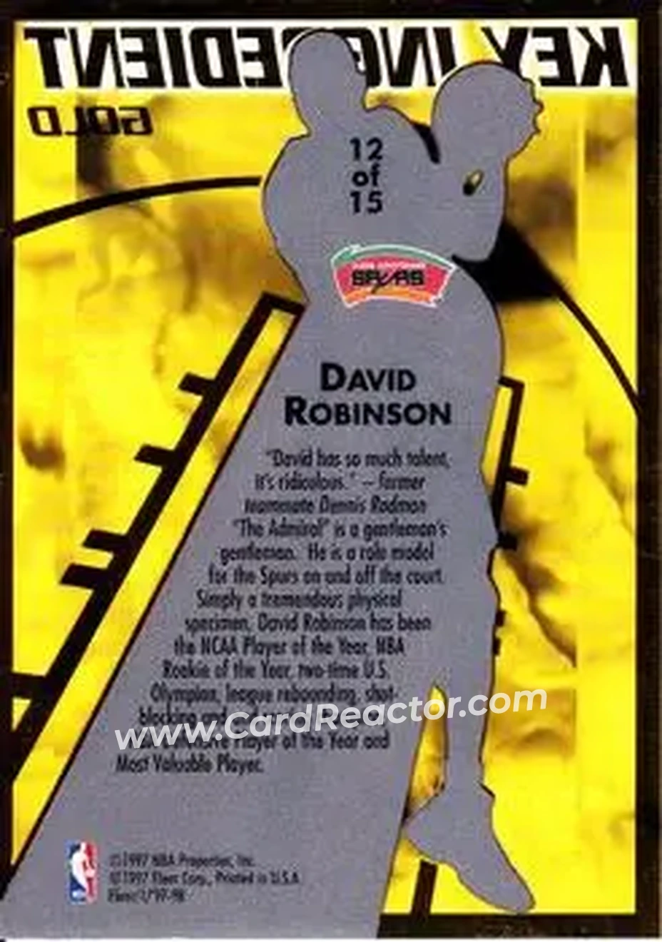 Back of David Robinson