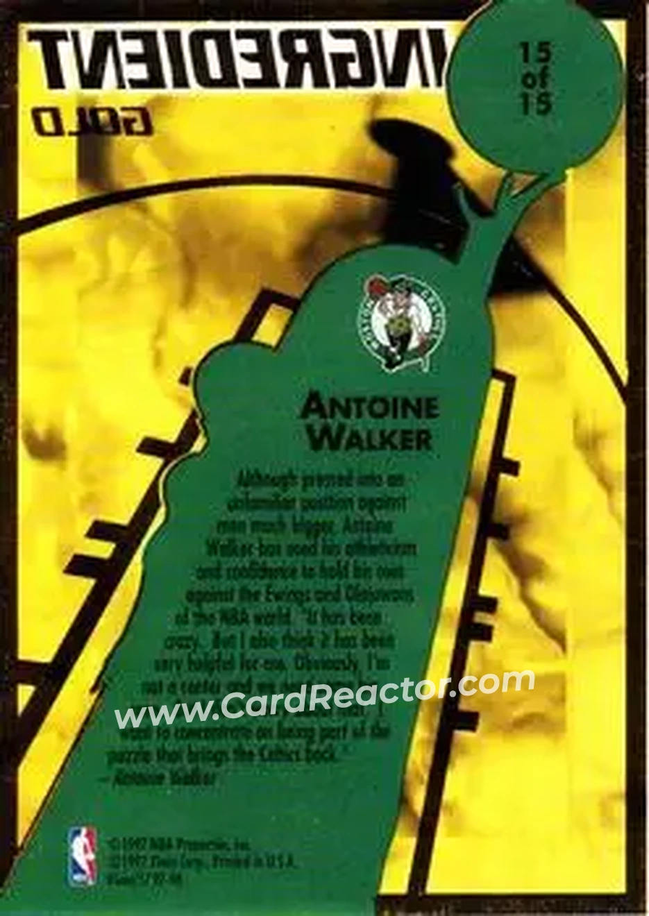 Back of Antoine Walker