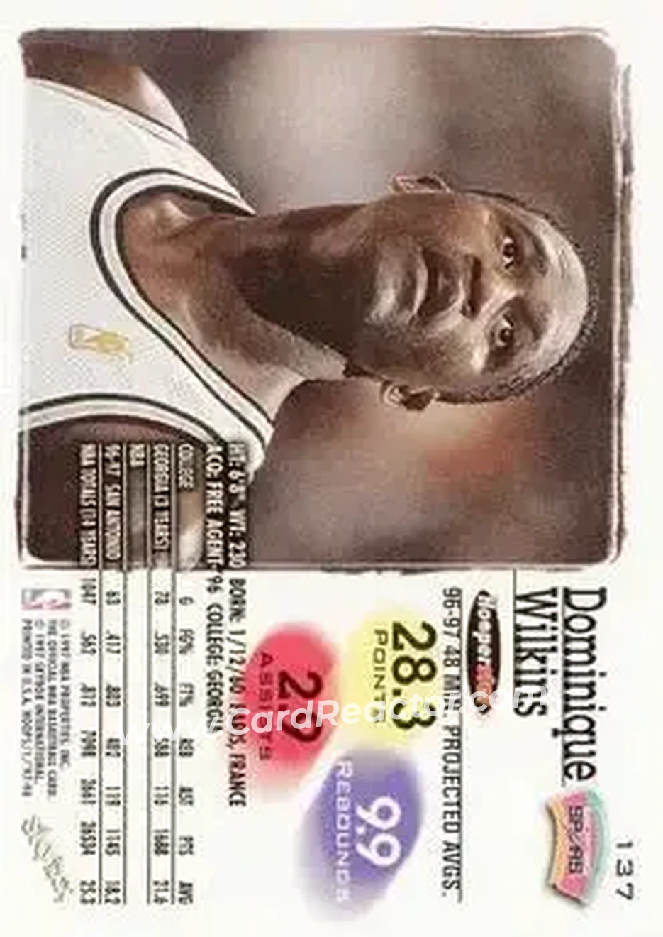 Back of Dominique Wilkins