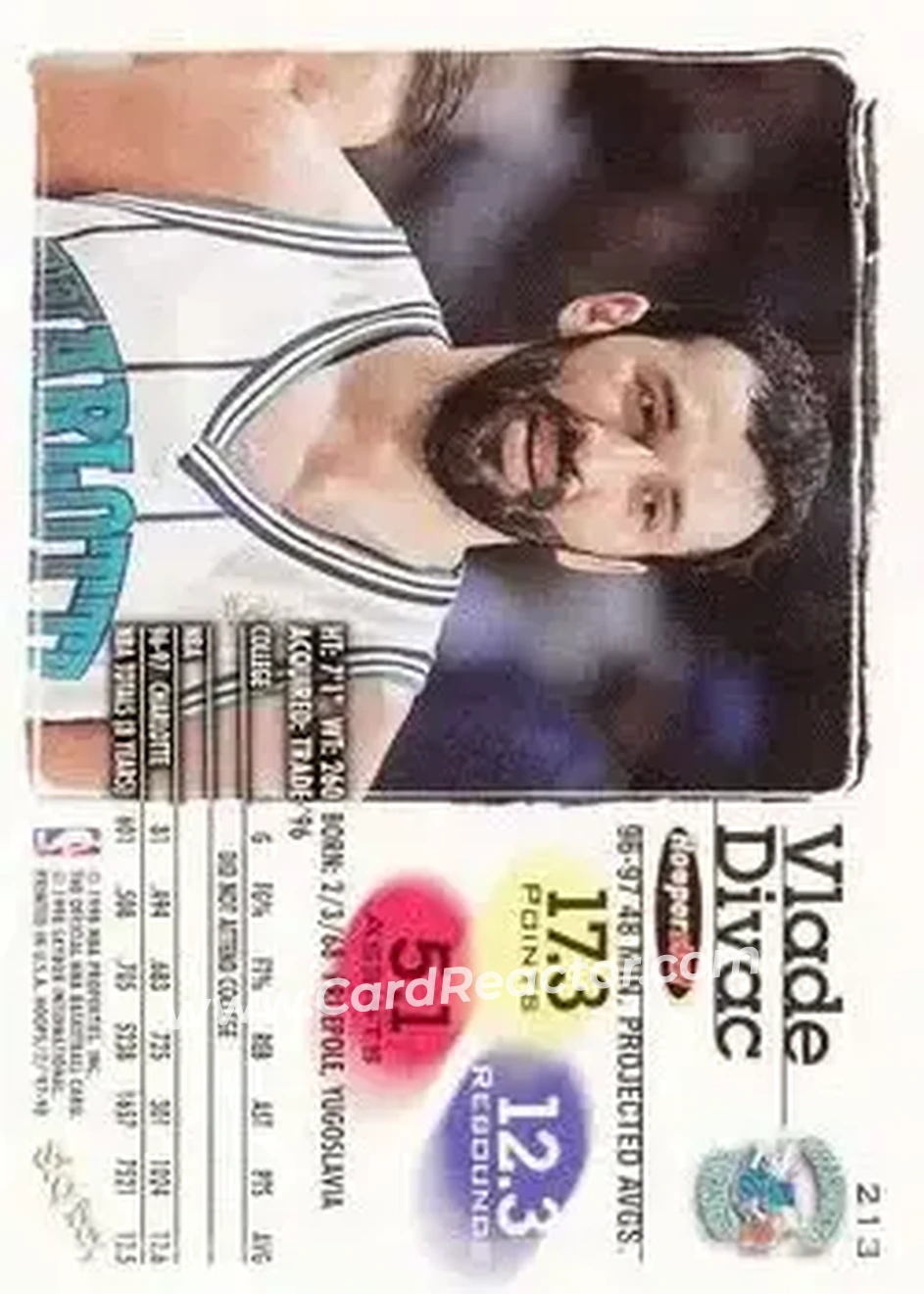 Back of Vlade Divac