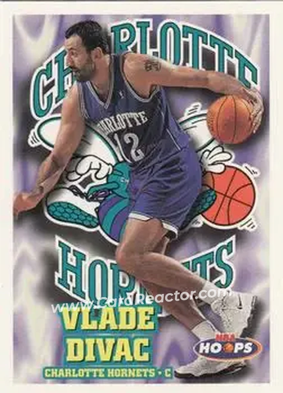 Front of Vlade Divac