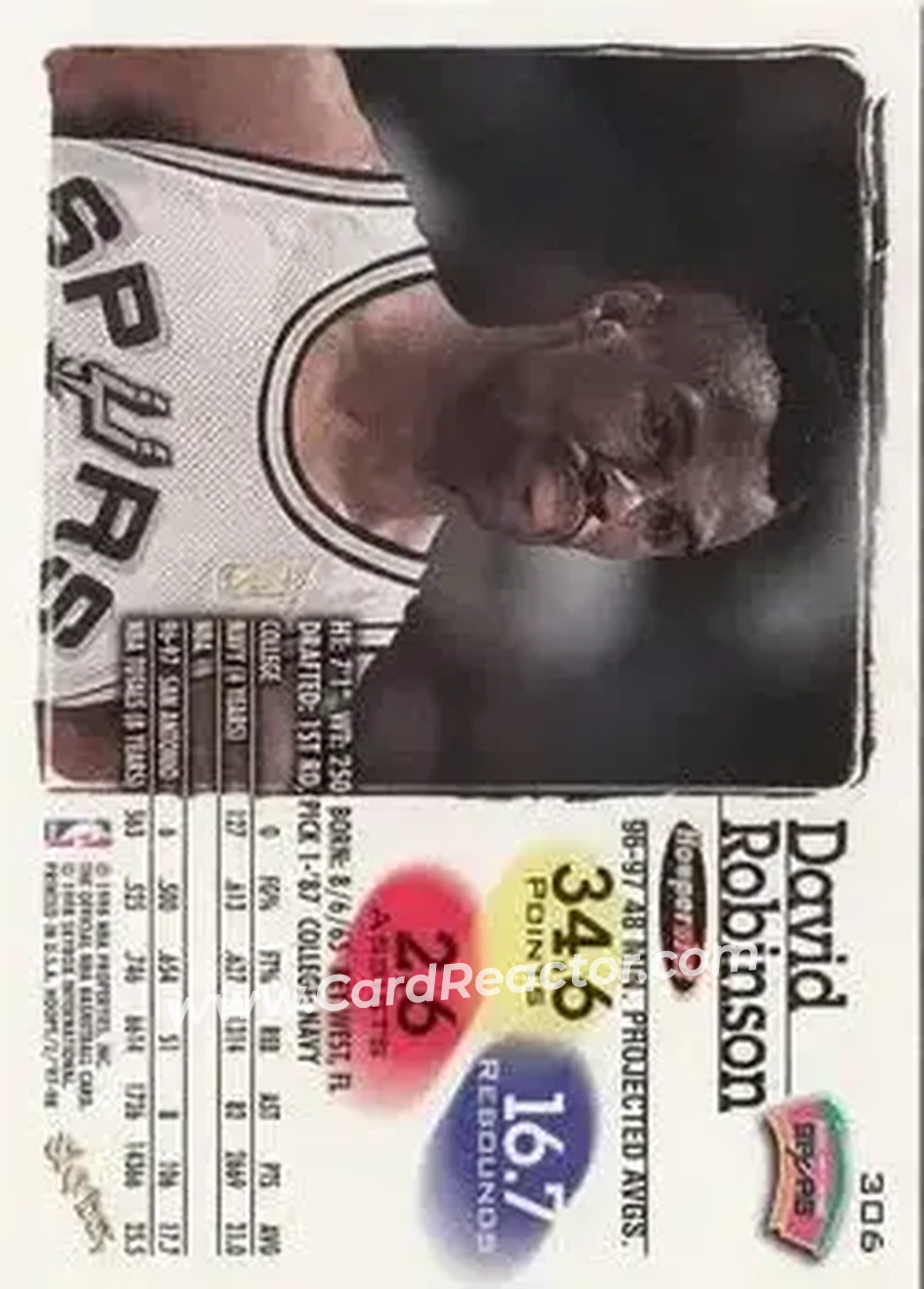 Back of David Robinson