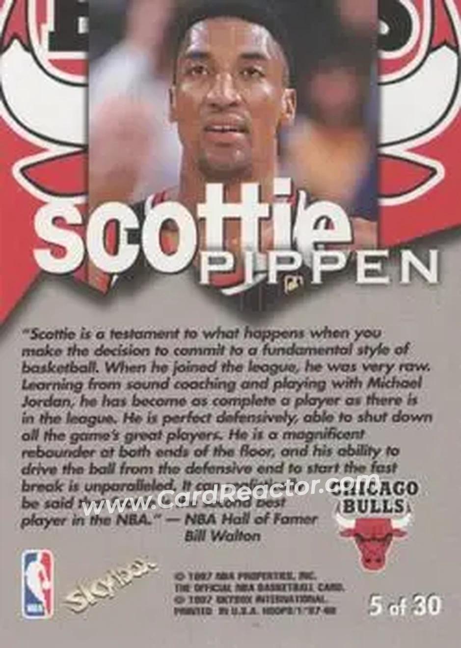 Back of Scottie Pippen