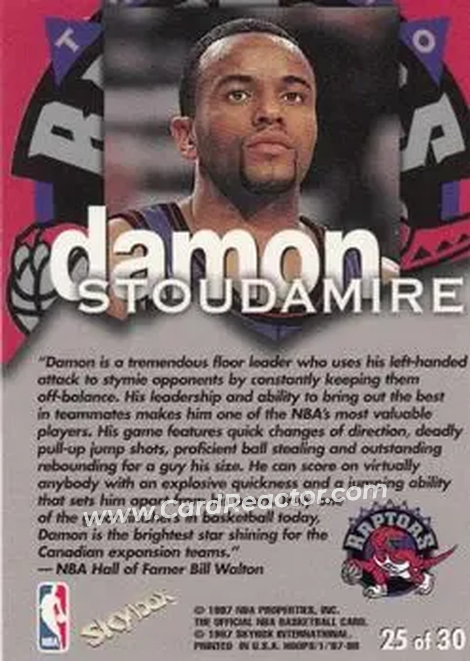 Back of Damon Stoudamire