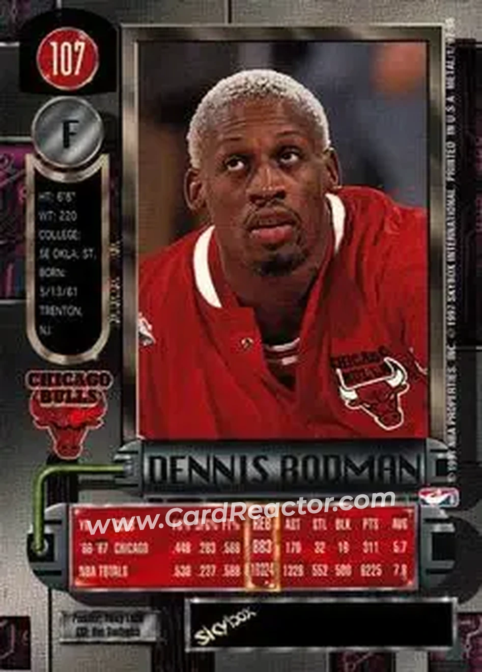Back of Dennis Rodman