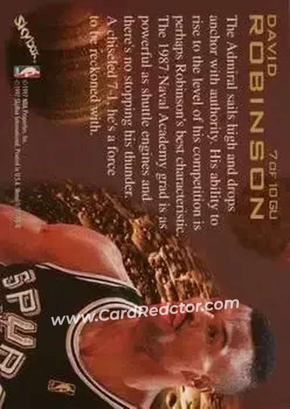Back of David Robinson