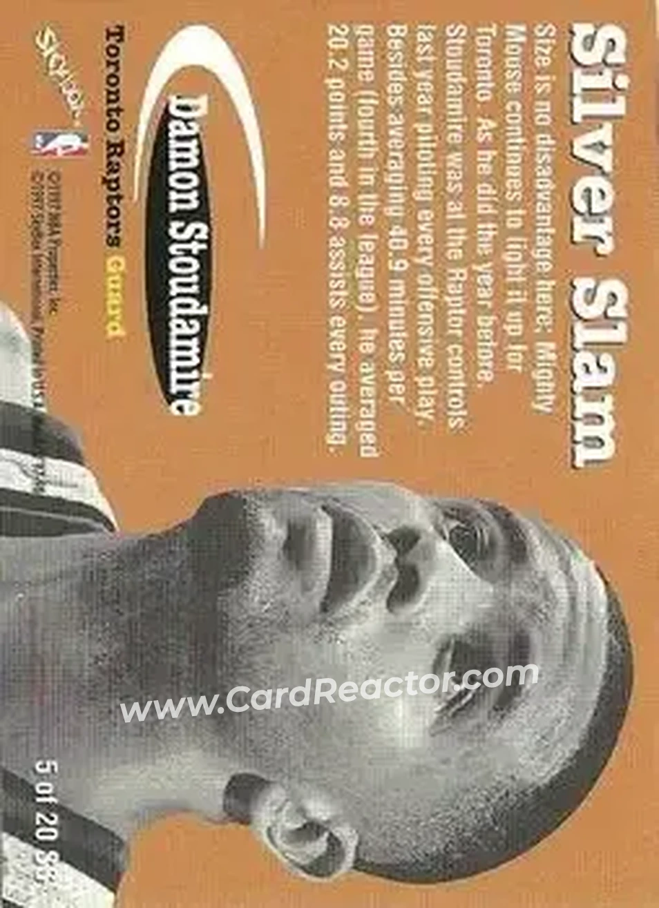 Back of Damon Stoudamire