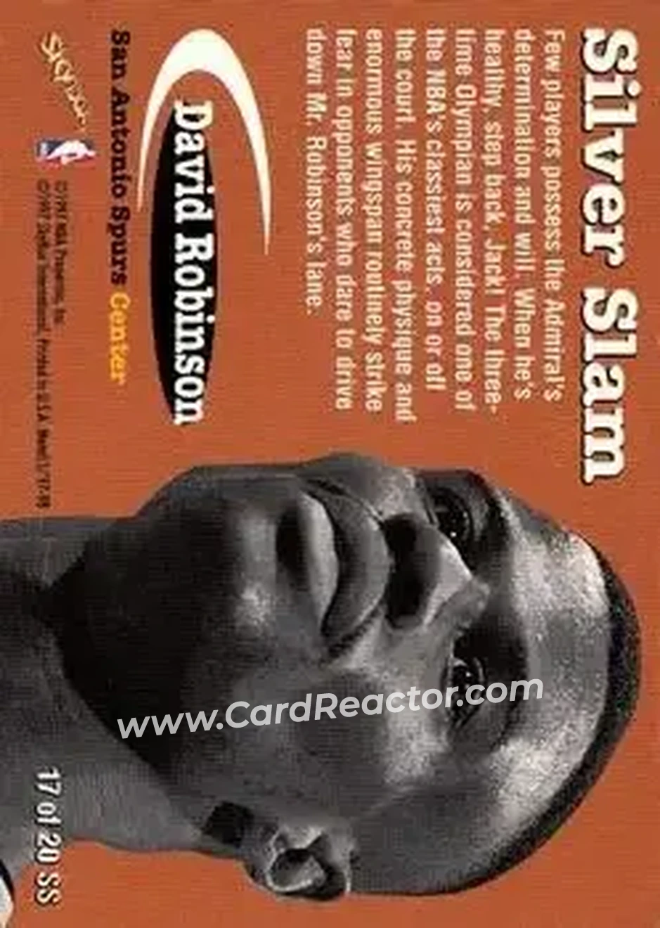 Back of David Robinson