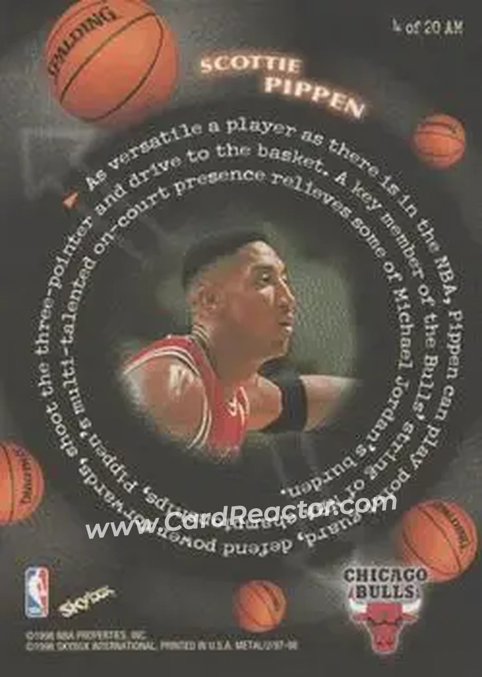Back of Scottie Pippen