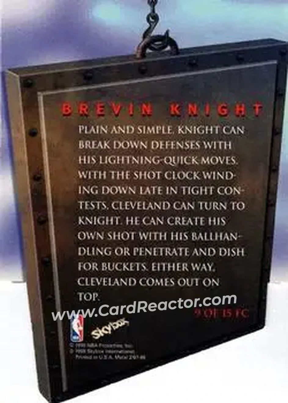 Back of Brevin Knight