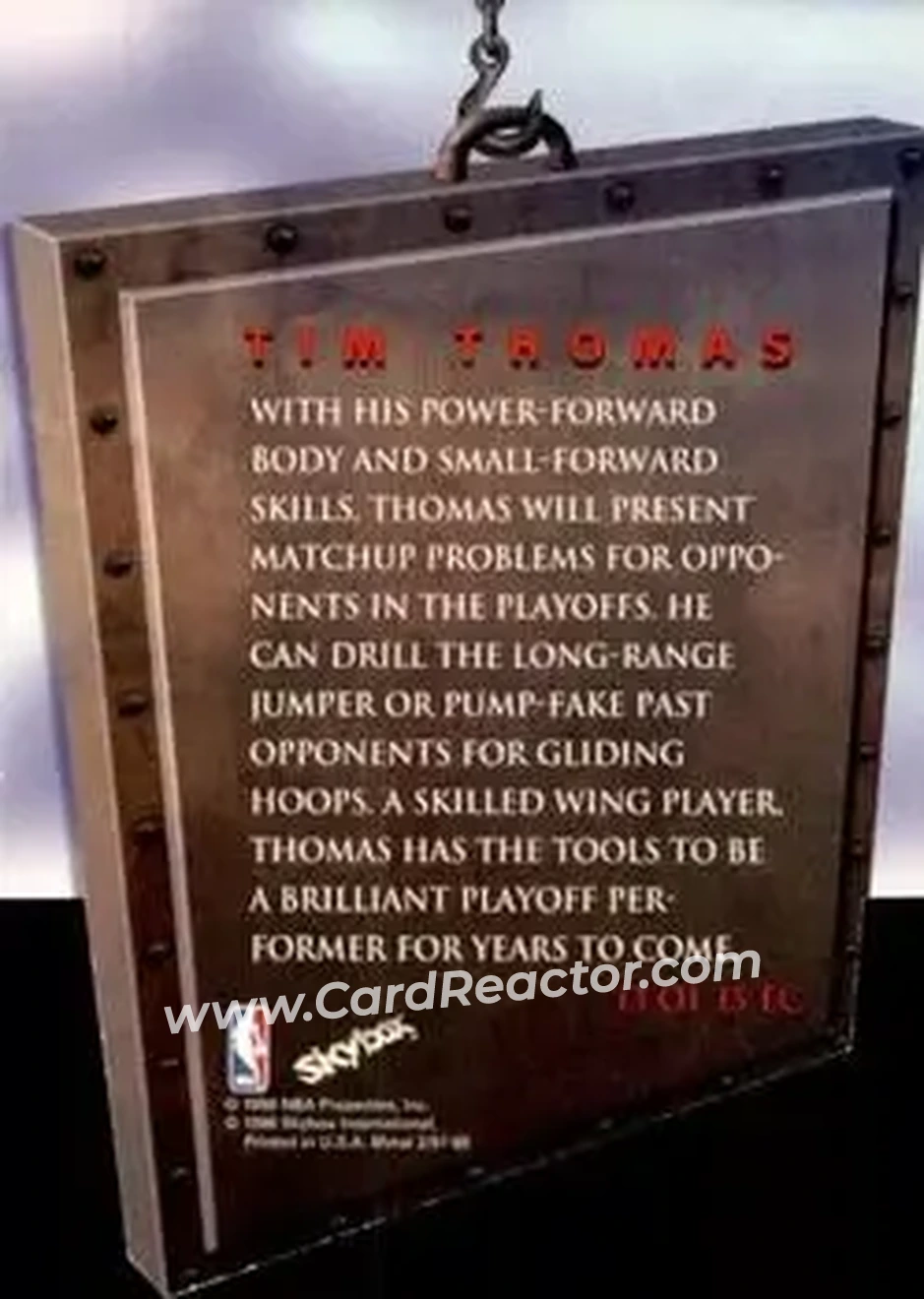 Back of Tim Thomas