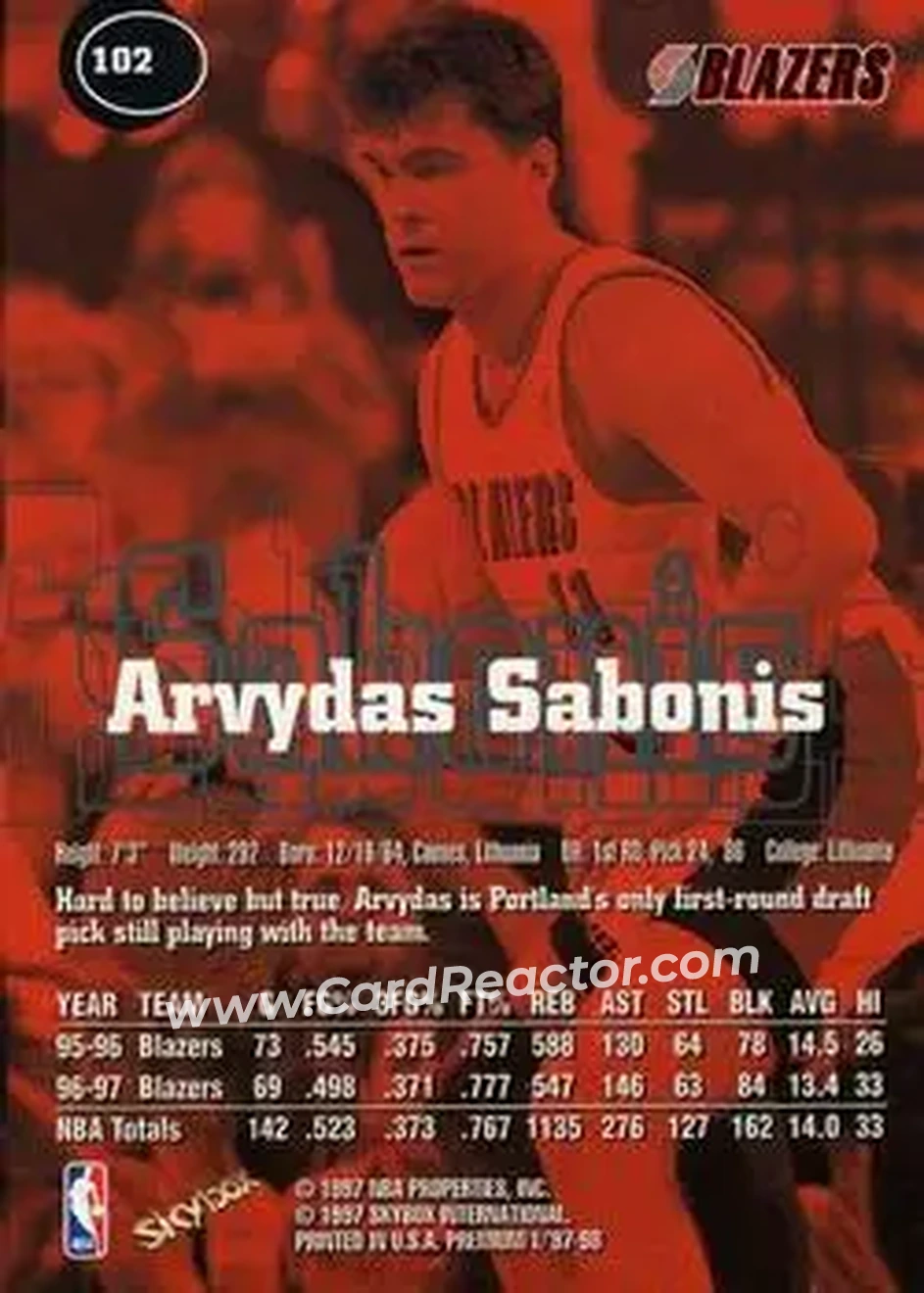 Back of Arvydas Sabonis