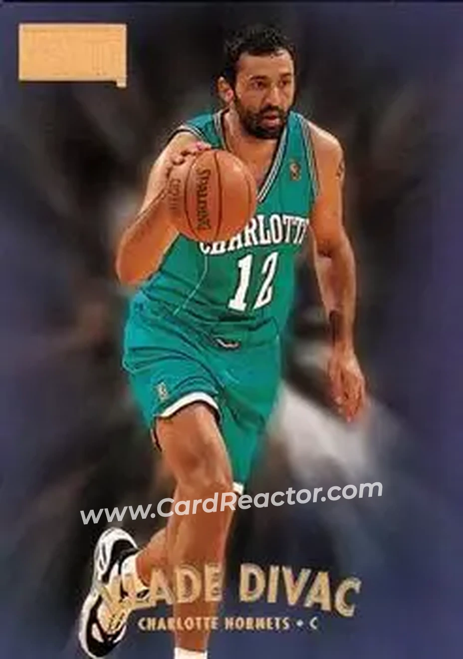 Front of Vlade Divac