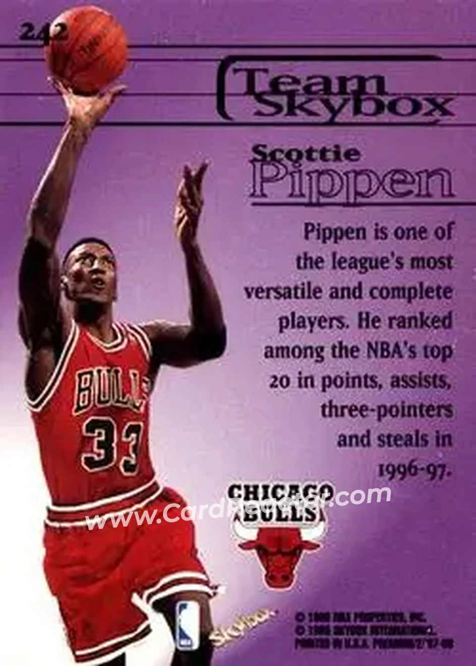 Back of Scottie Pippen
