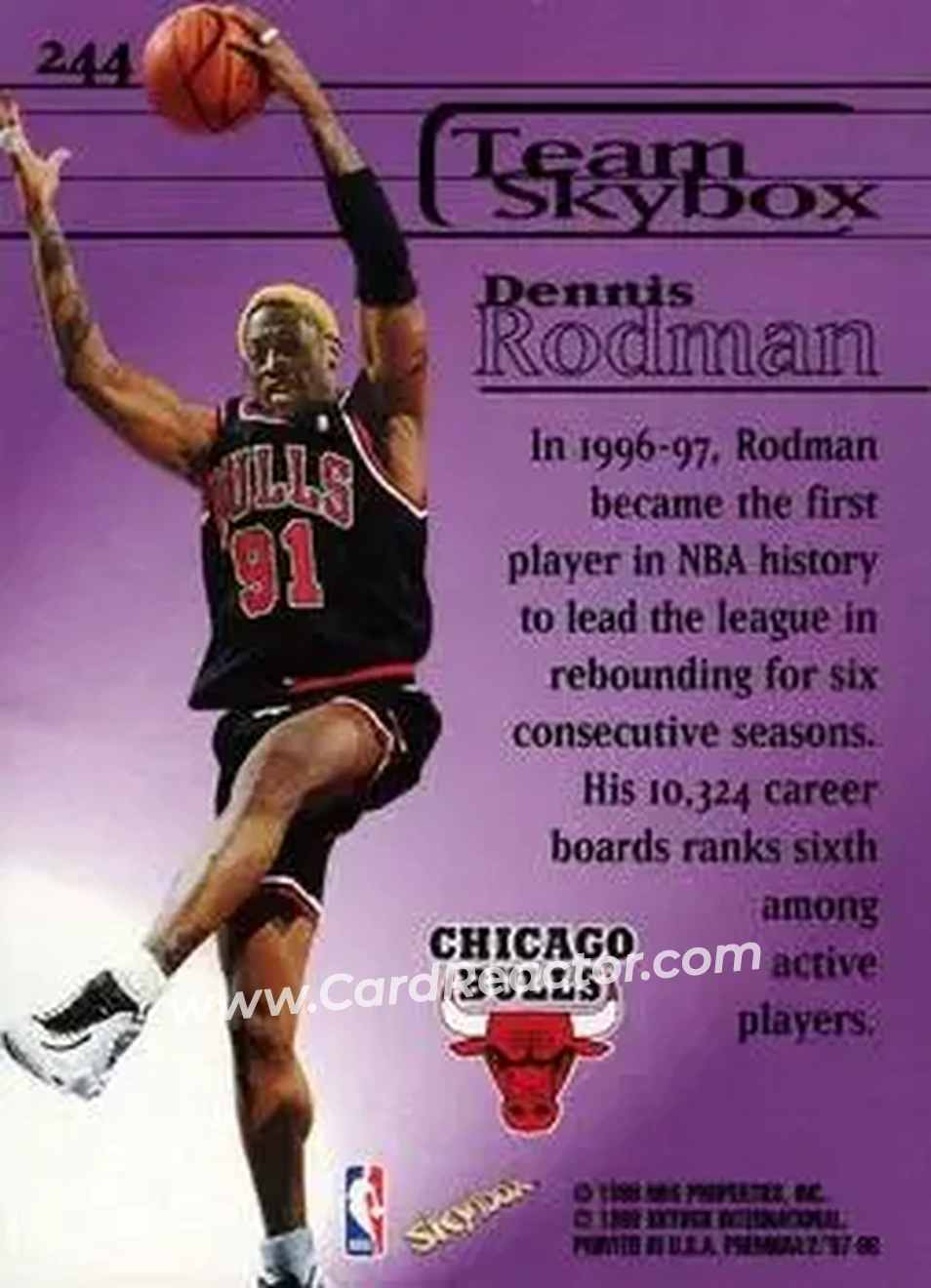 Back of Dennis Rodman