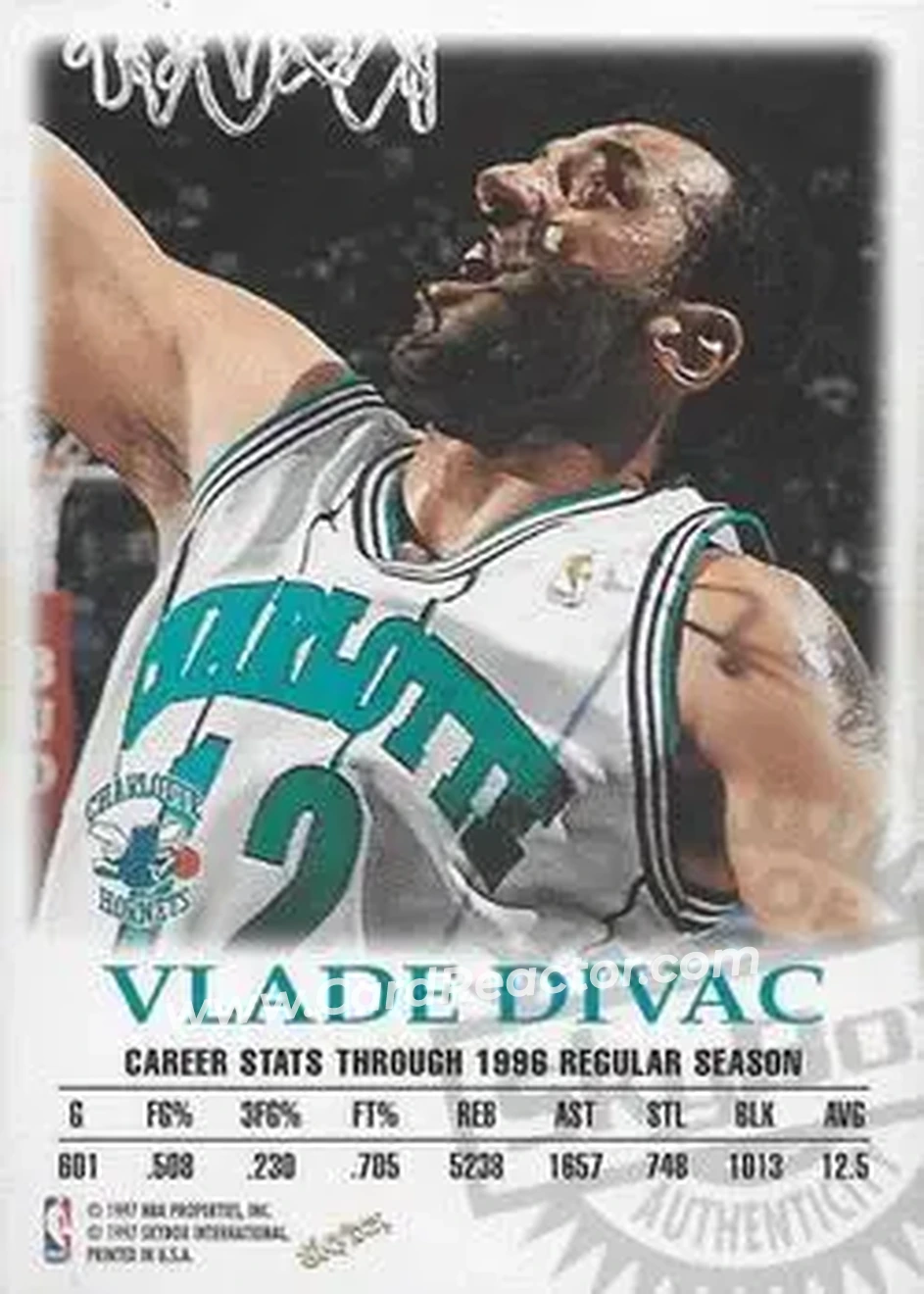 Back of Vlade Divac