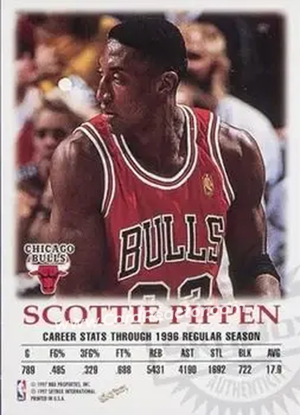 Back of Scottie Pippen