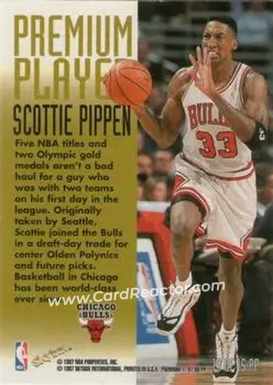 Back of Scottie Pippen
