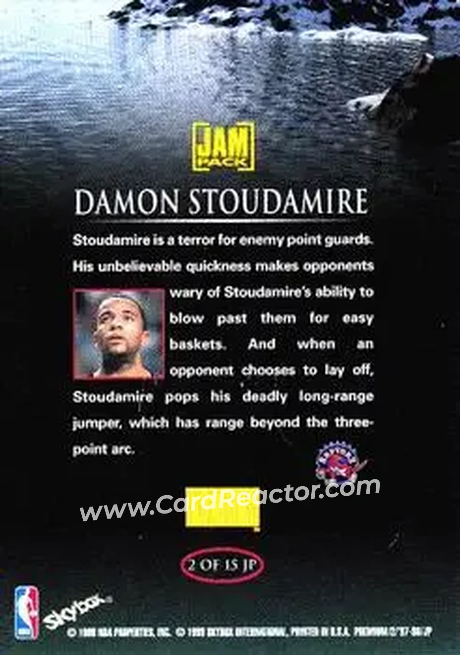 Back of Damon Stoudamire