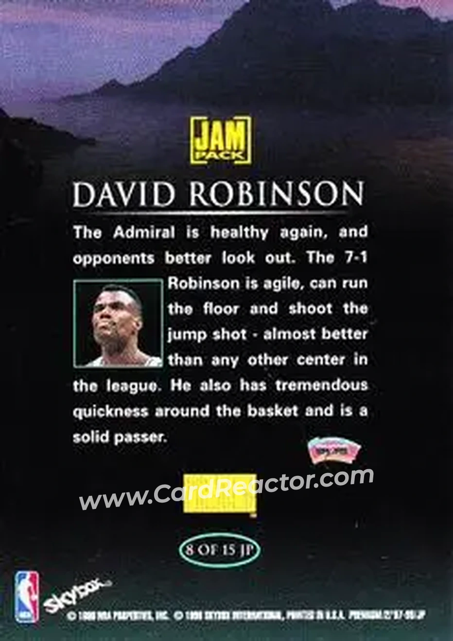 Back of David Robinson