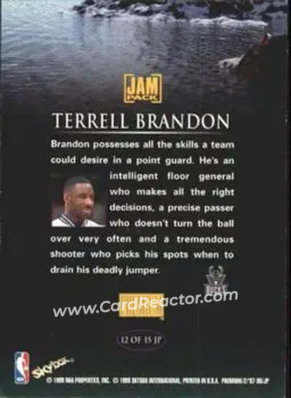 Back of Terrell Brandon