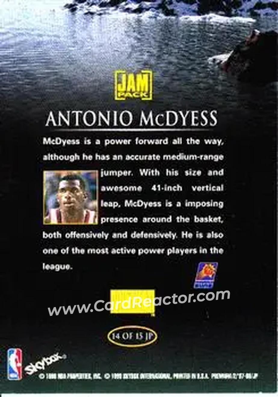Back of Antonio McDyess