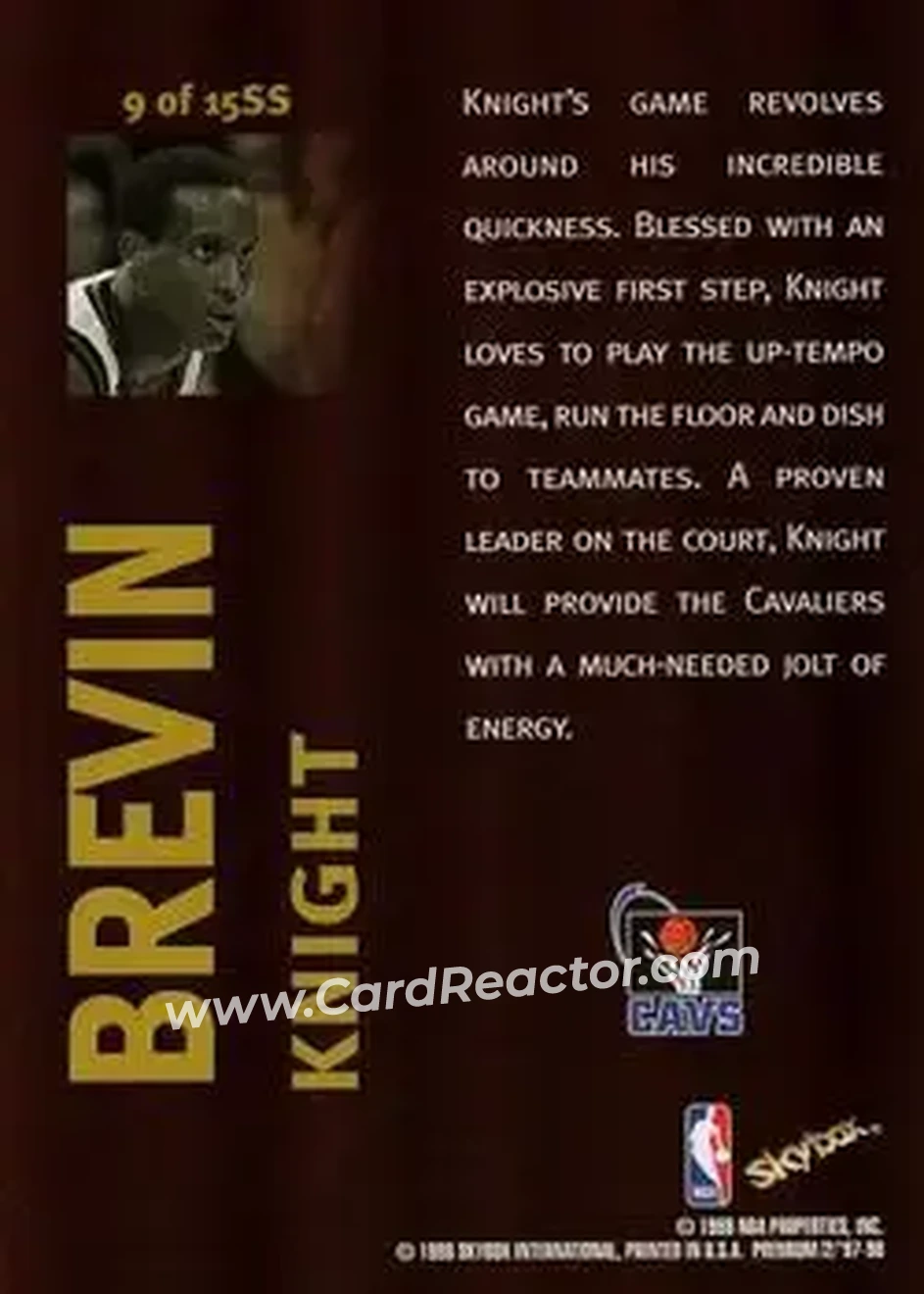 Back of Brevin Knight