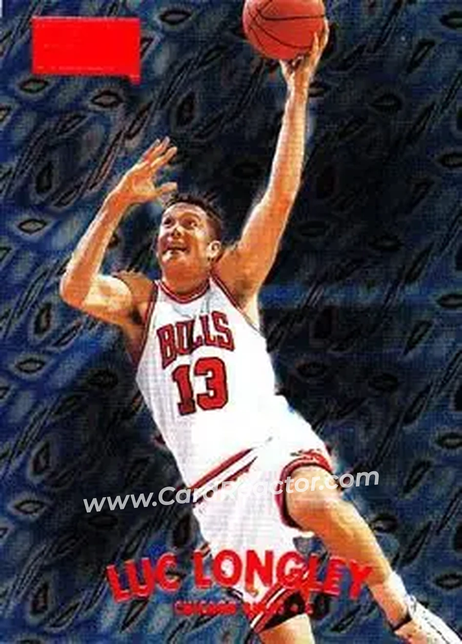 Front of Luc Longley