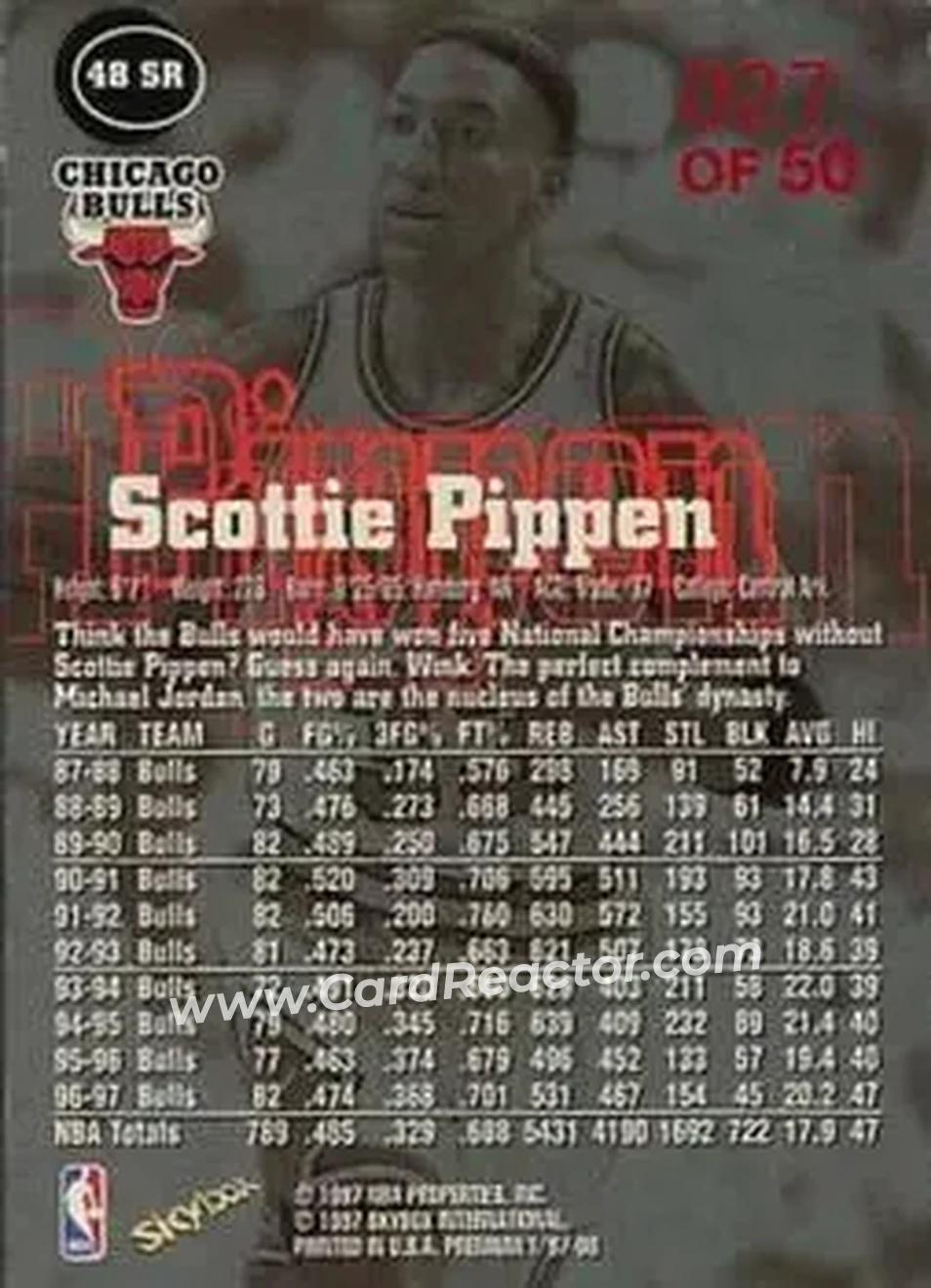 Back of Scottie Pippen