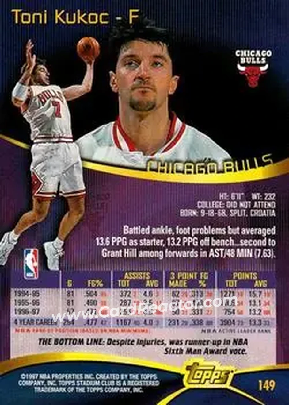 Back of Toni Kukoc