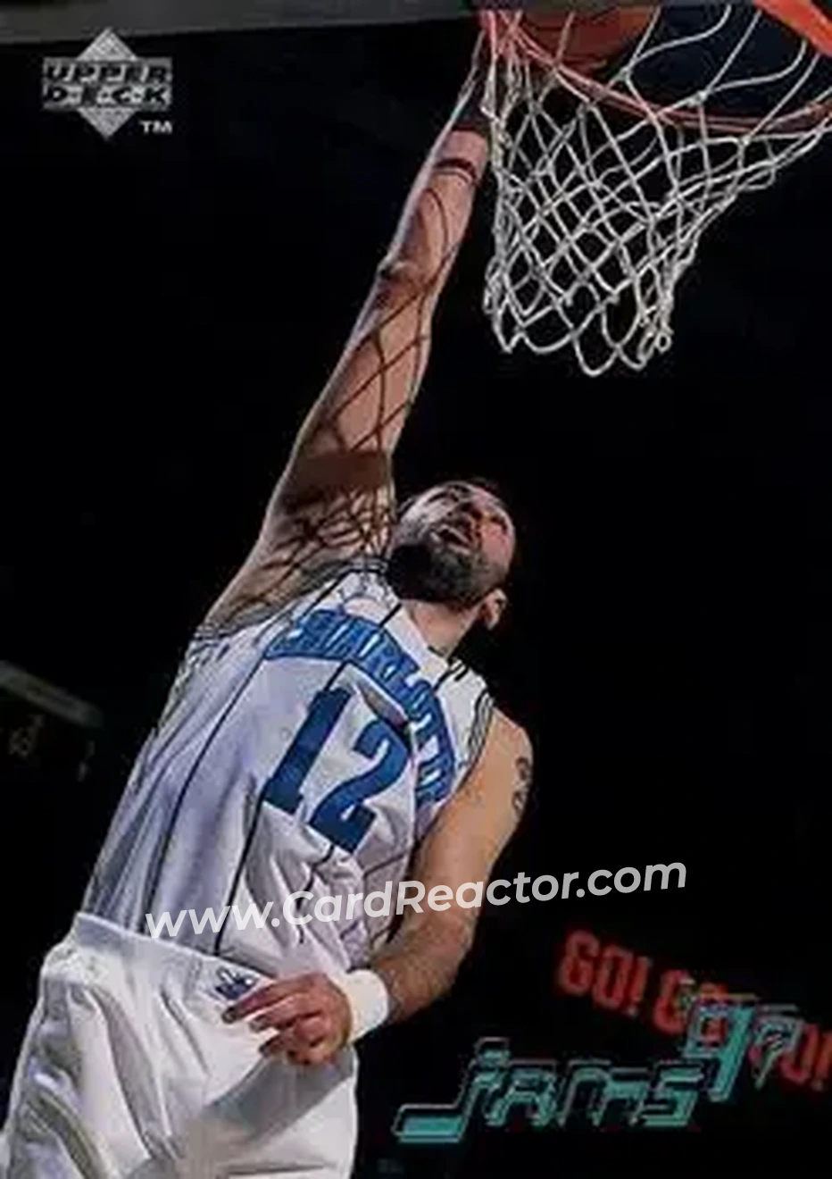 Front of Vlade Divac