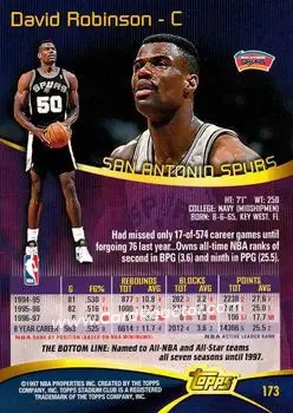 Back of David Robinson