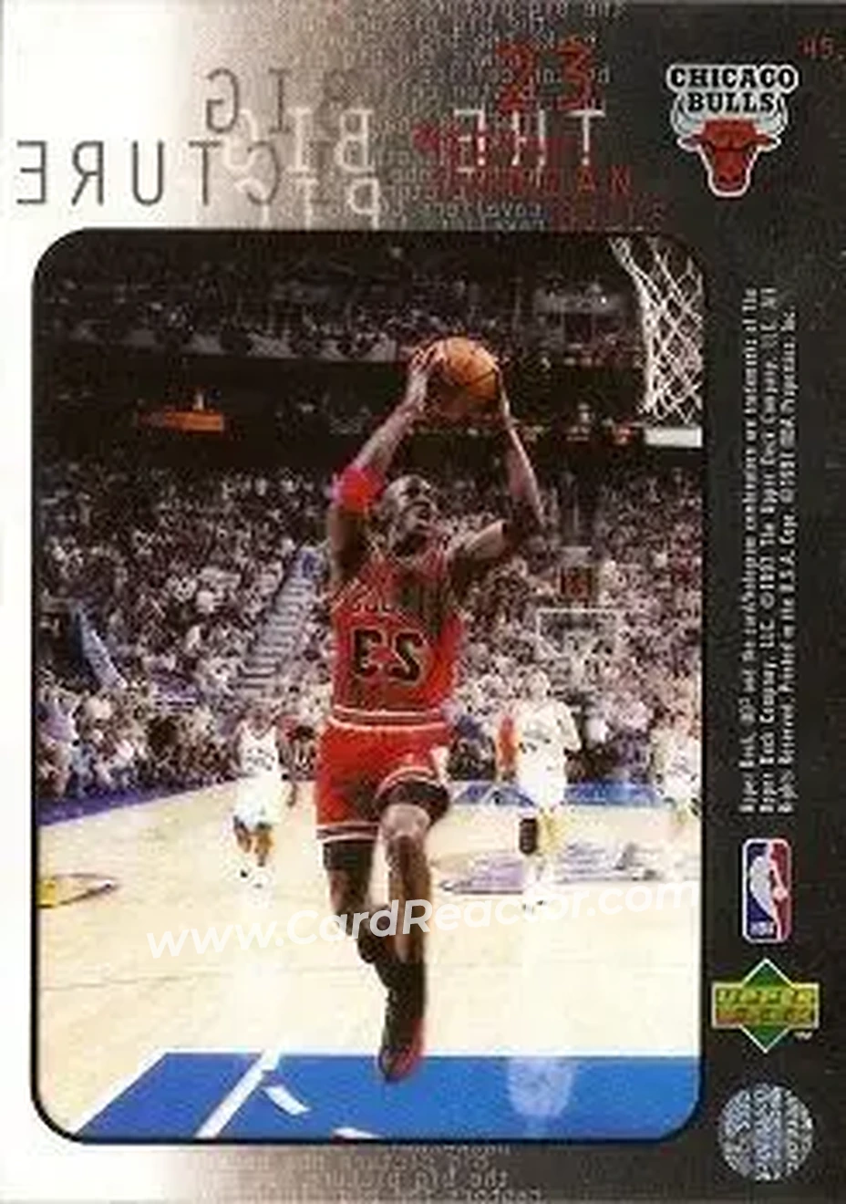 Back of Michael Jordan