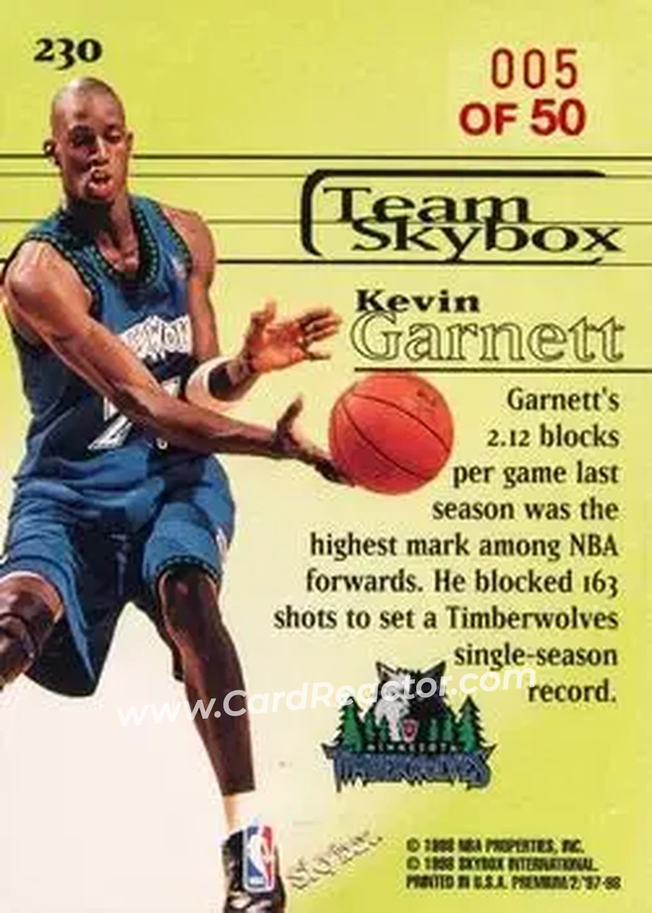 Back of Kevin Garnett