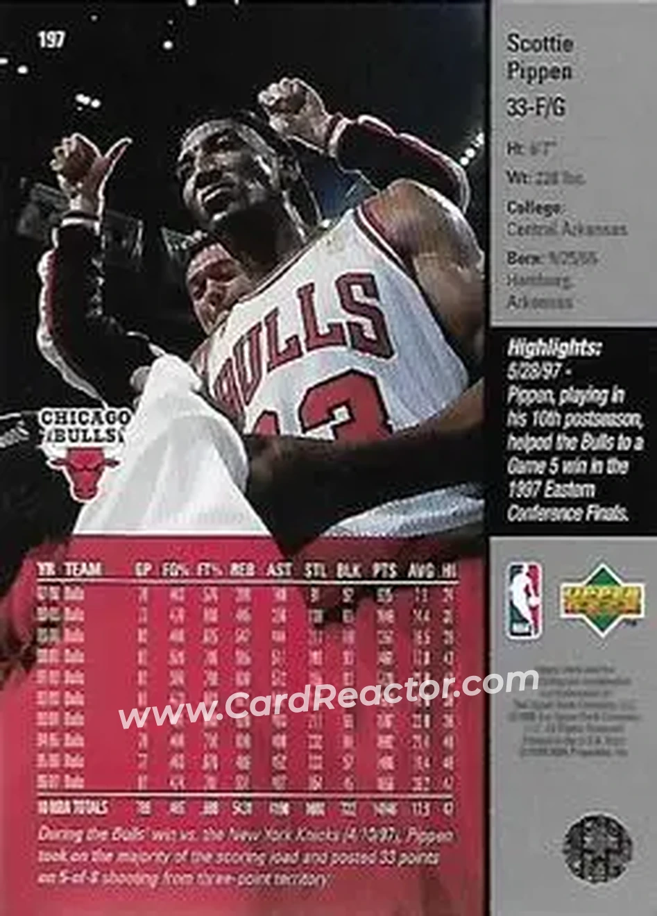 Back of Scottie Pippen
