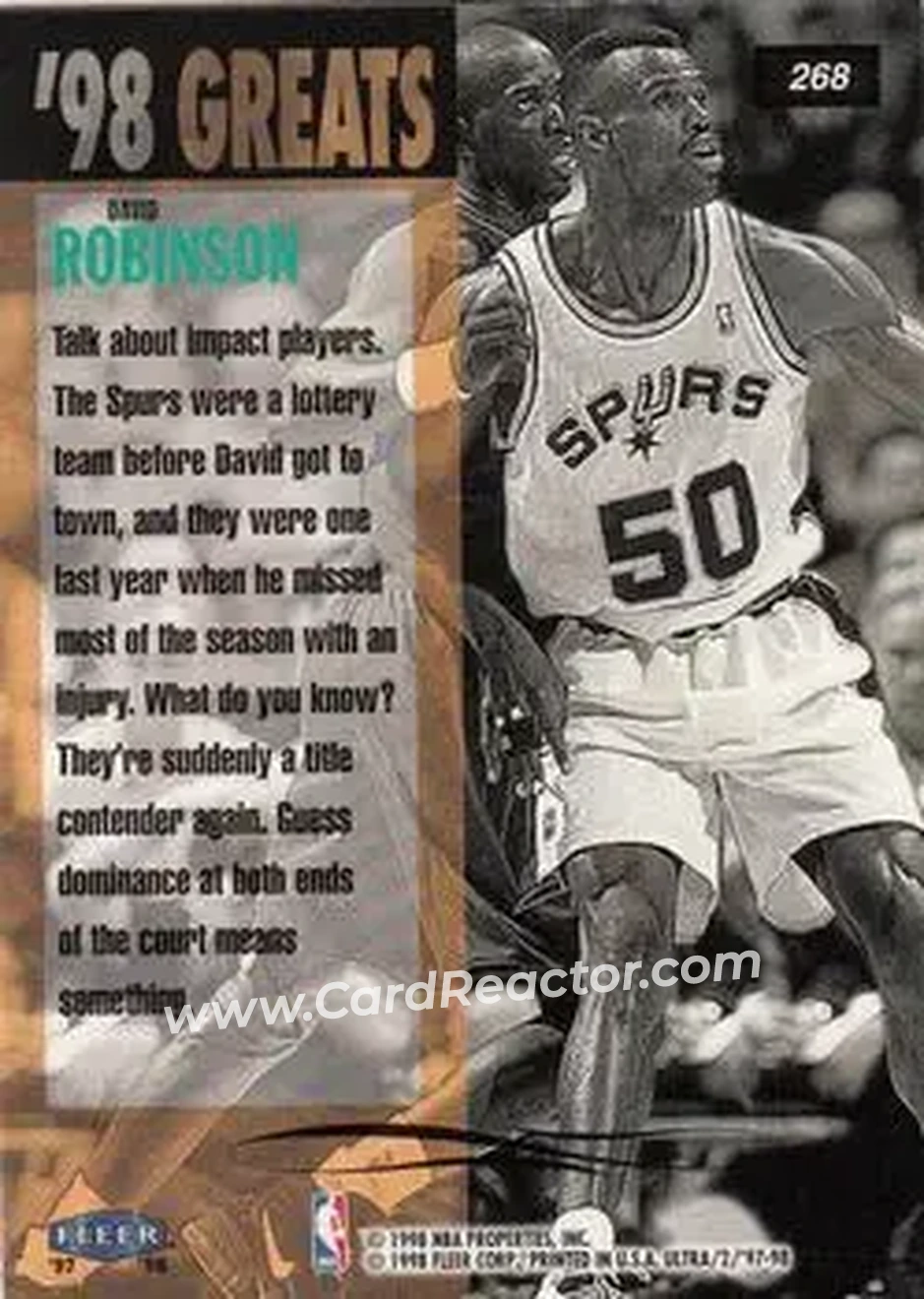 Back of David Robinson