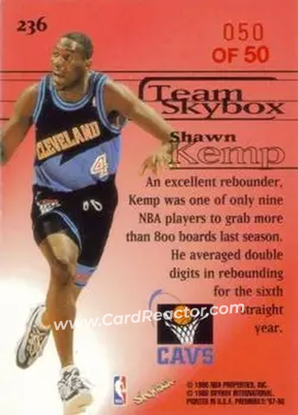 Back of Shawn Kemp