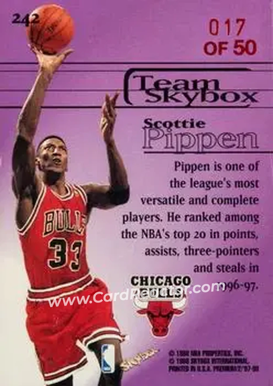 Back of Scottie Pippen